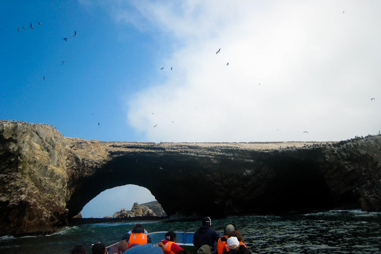 Paracas: Ballestas Islands Boat Tour & Mini Buggy Ride