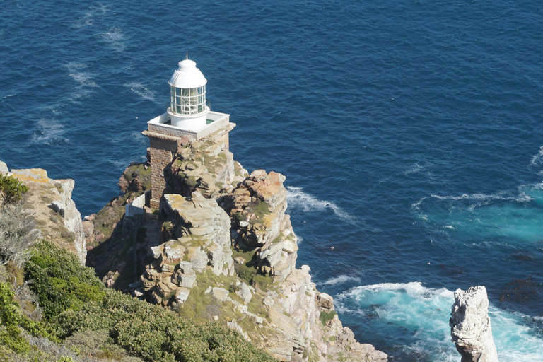 Le Cap : Visite d&#039;une jounée du Cap de Bonne Espérance et des Boulders