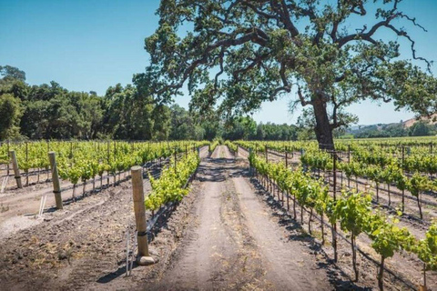 Los Angeles: Wine Tour at Fess Parker Winery by Helicopter Los Angeles: Wine Experience