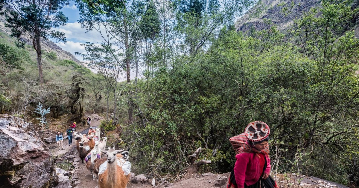 Vanuit Cusco Wandeling met alpaca s en lama s Picknick Privé