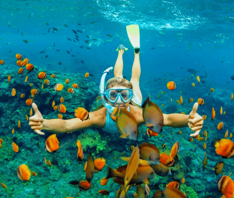 Cartagena, Baru Day Trip o 7-Stop Island Hopping Excursion - Hizvo