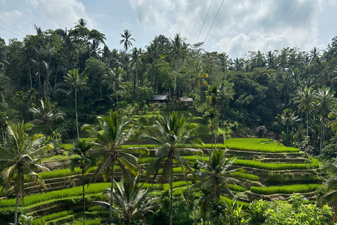 Ubud 3 Hidden Waterfalls & Tegalalang Rice Terrace Tour