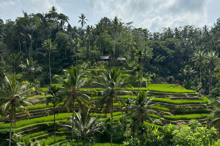 Ubud 3 Hidden Waterfalls & Tegalalang Rice Terrace Tour