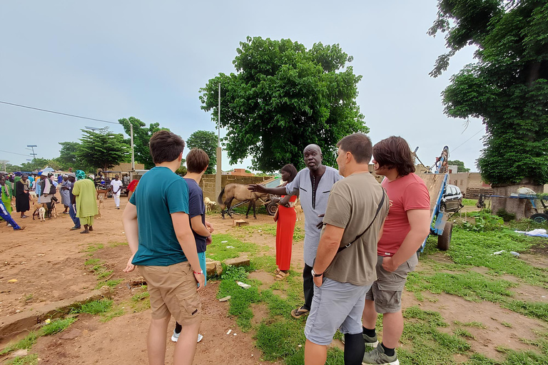 Dakar: Gorée Island and Pink Lake Private Day Trip