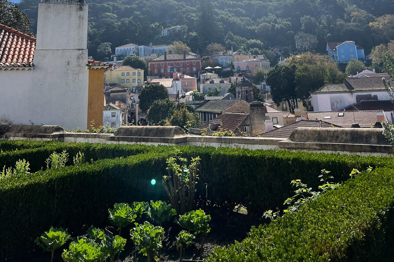 Sintra: Moorish Castle Guided Tour