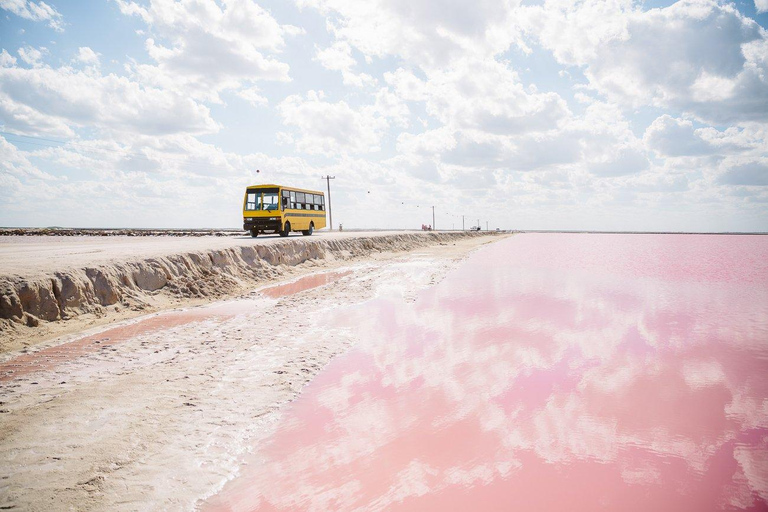 Rio Lagartos et Las Coloradas : EcoSafari Flamingo DeluxRio Lagartos et Las Coloradas : EcoSafari Flamingo Deluxe