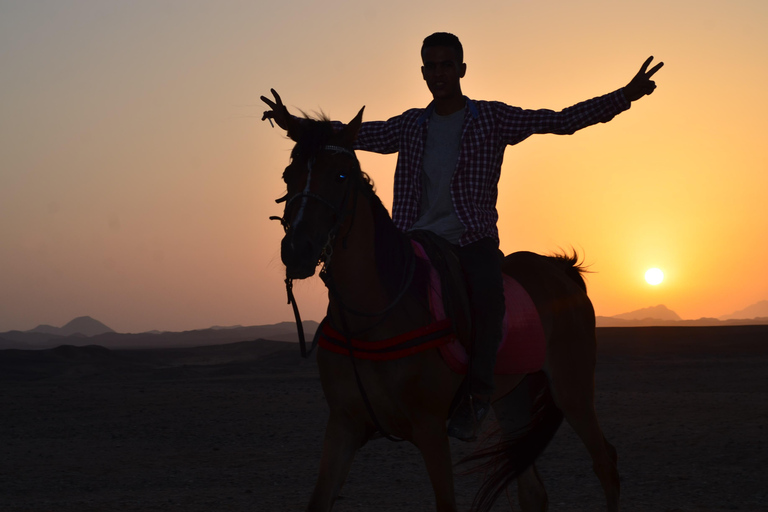 Marsa Alam : Coucher de soleil à cheval avec dîner, spectacle et observation des étoiles