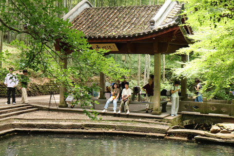Hangzhou Half-Day: Pagoda, Bamboo Grove, and Old Street Tour