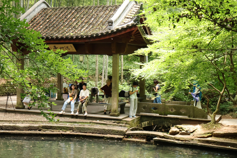 Hangzhou Half-Day: Pagoda, Bamboo Grove, and Old Street Tour
