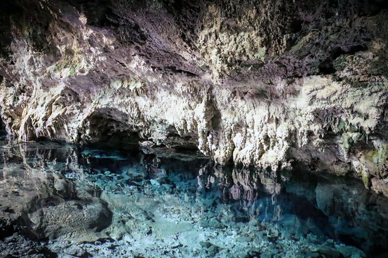 Zanzibar: Jozani Forest, Kuza Cave & Seaweed Farm Tour