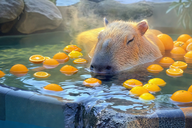 Tokio: Izu-schiereiland Trein Mt Omuro, Capibara-sightseeingtripGroepstour met 07:20 uur Meetup op het station van Tokio