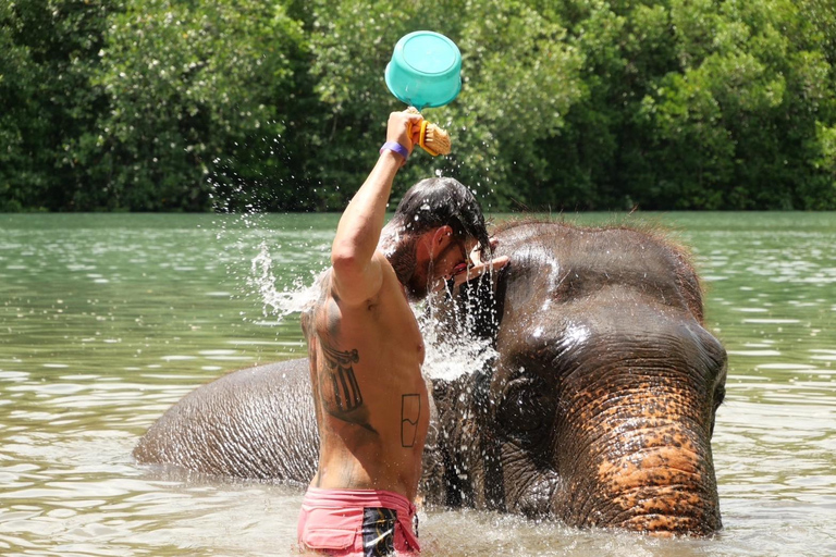 Krabi: Elephant Bathing Session at Krabi Elephant Shelter