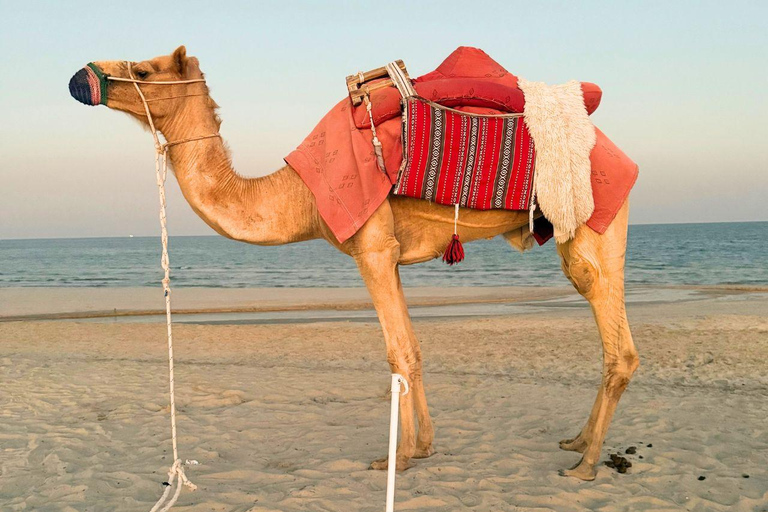 Doha:Inland sea Desert Safari Qatar, Dune Bashing ExperienceGemeinsame Tour mit Wüstensafari, Kamelritt und Binnenseebesuch