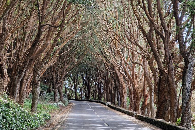 Terceira Island: Full Day North Coast Tour Terceira Island: Full-Day North Coast Tour