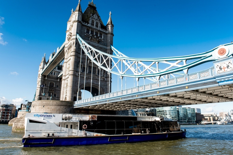 Londres : croisière touristique sur la TamiseDe Westminster Pier à Tower Pier