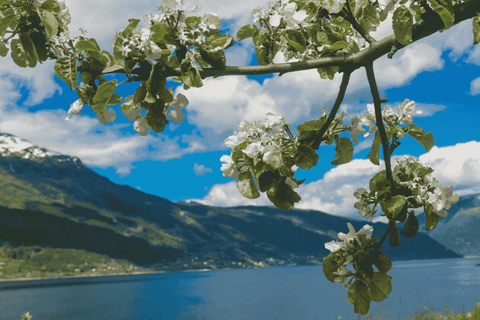 Wycieczka z przewodnikiem: Hardangerfjord, wodospady i przeprawa promem