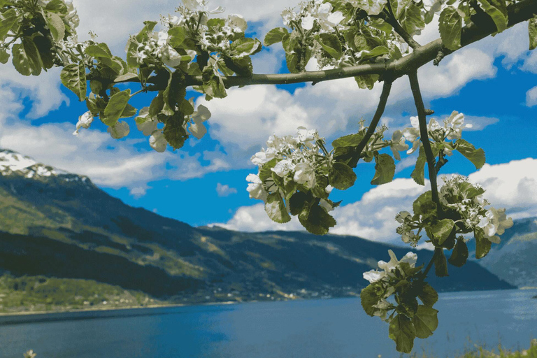 Wycieczka z przewodnikiem: Hardangerfjord, wodospady i przeprawa promem