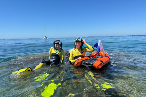 Auckland: Guided Snorkeling Tour and Island Exploration