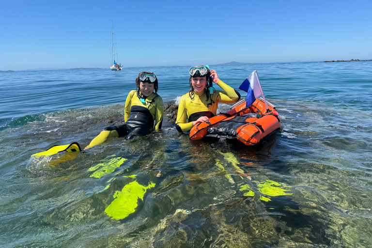 Auckland: Guided Snorkeling Tour and Island Exploration