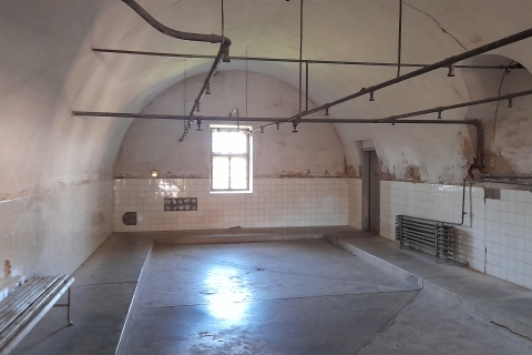 Visite privée d'une demi-journée au camp de concentration de Terezin