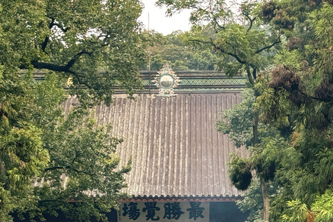 Hangzhou : visite panoramique de Feilai Feng avec sculptures en pierre anciennesHangzhou : Visite panoramique de Feilai Feng avec sculptures en pierre anciennes