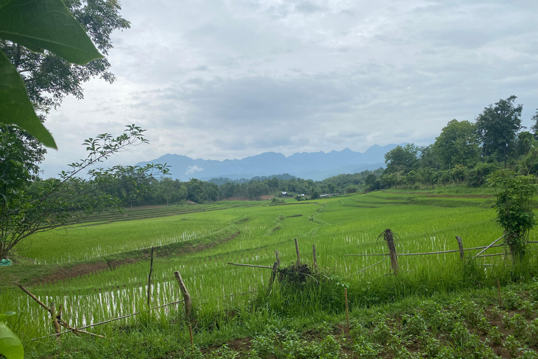 Luang Prabang: Rice Farm, Fishing & Picnic Experience