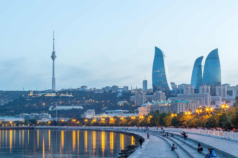 Paws in the City: Pet-Friendly Baku Experience