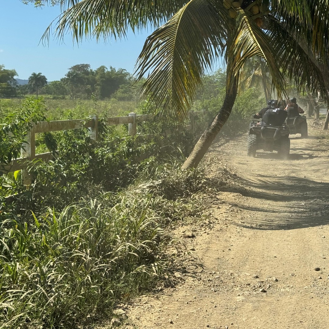 Puerto Rico: Hacienda Campo Rico ATV Experience with Pickup | GetYourGuide
