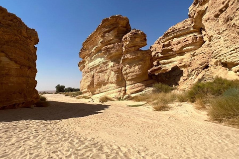 Riyadh: Owl Cave Hiking Adventure at King Khalid Reserve