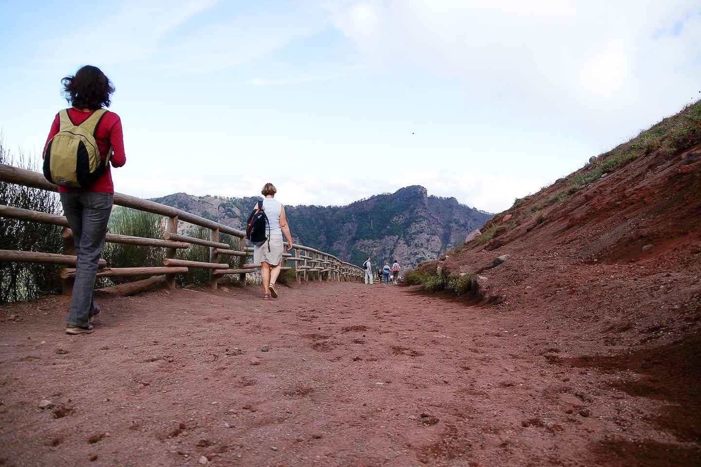 From Sorrento: Pompeii and Vesuvius Tour