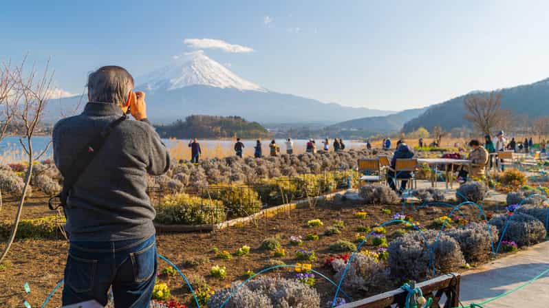 Tokyo: Mt. Fuji Hidden Gems and Aokigahara Forest Tour