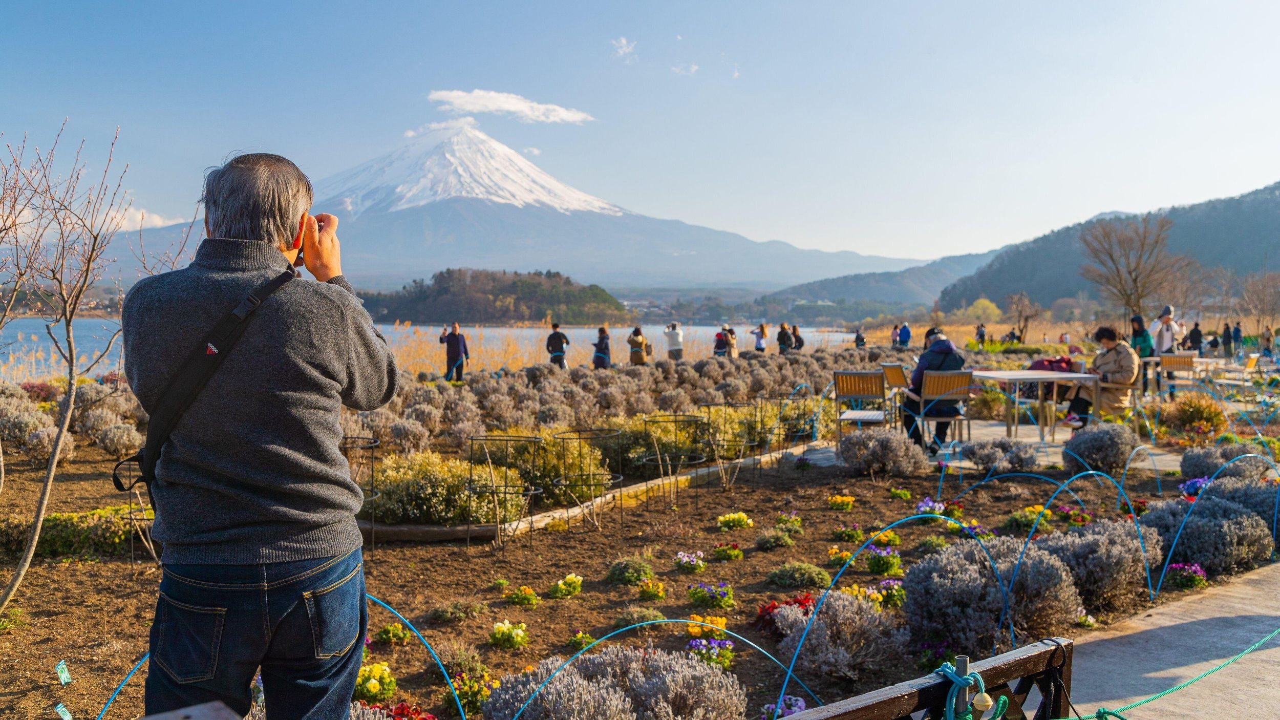 Tokio: Mt. Fuji Hidden Gems und Aokigahara Forest Tour