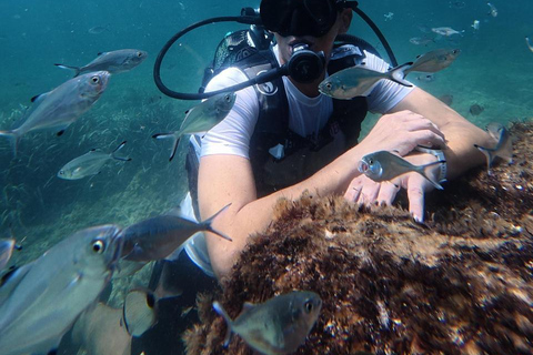 Mahdia: Guided Medina Tour and Scuba Diving Experience