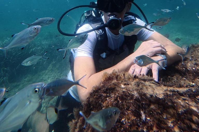 Mahdia: Guided Medina Tour and Scuba Diving Experience