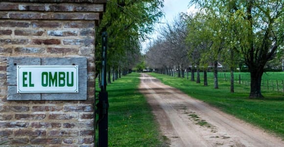 From Buenos Aires: El Ombú de Areco with Transfer