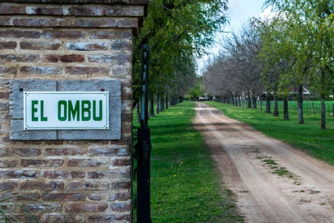 从布宜诺斯艾利斯出发：埃尔翁布德阿雷科（含接送服务）从布宜诺斯艾利斯出发：阿雷科的奥姆布树，含接送服务