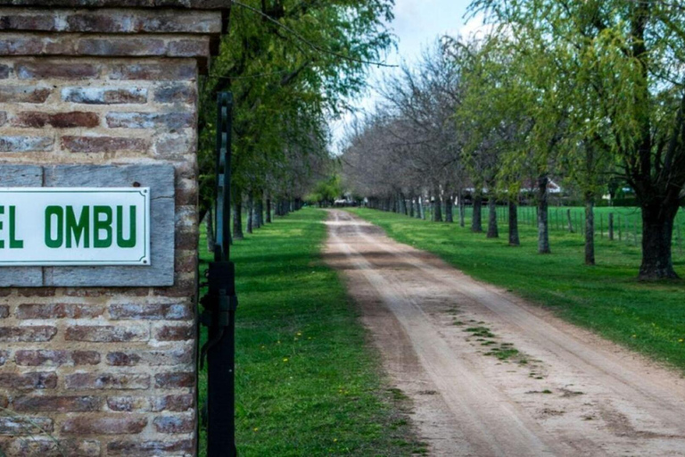 从布宜诺斯艾利斯出发：埃尔翁布德阿雷科（含接送服务）从布宜诺斯艾利斯出发：阿雷科的奥姆布树，含接送服务