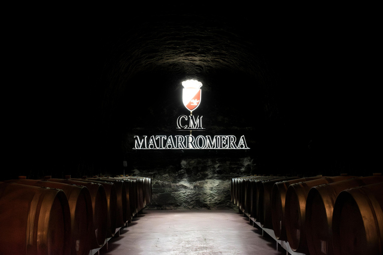 La Rioja: CM Matarromera Winery Tour