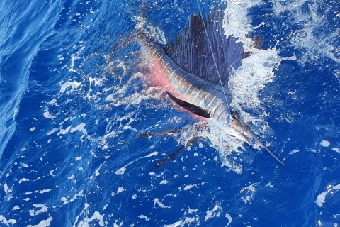 Nassau : Pêche sportive en charter privé .Nassau : Pêche sportive en charter privé