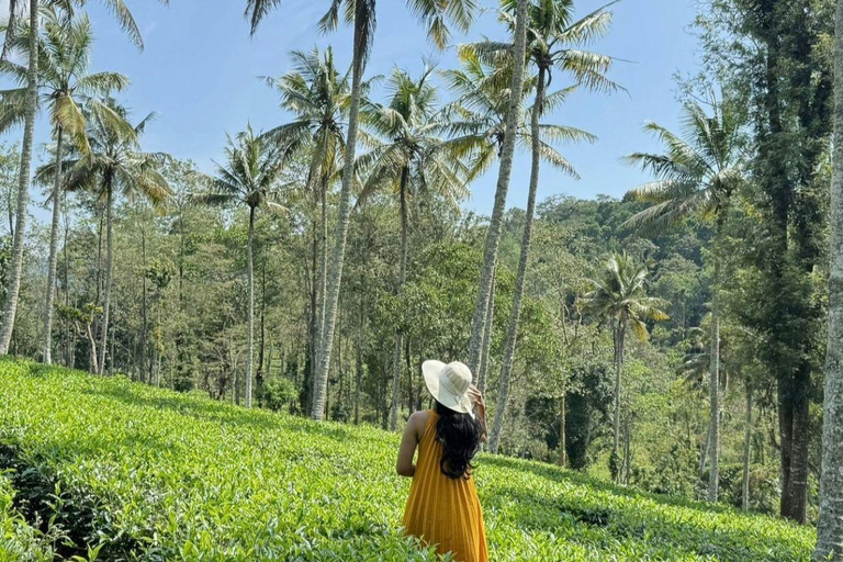 Kochi: Full-Day tour with Temple, Farming & Village Life