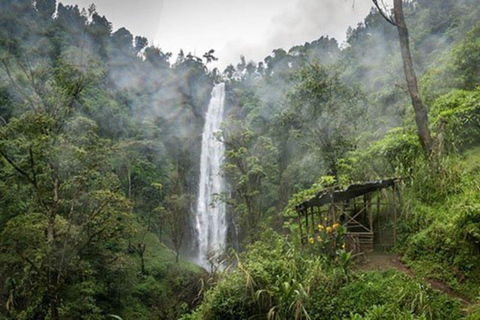 Mosh : Excursion de 2 jours à Materuni, visite du café et de la source thermale de Chemka