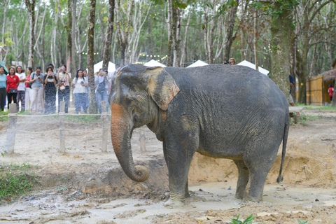 Programma di pernottamento nel santuario etico degli elefanti di Khao LakTour con servizio di prelievo