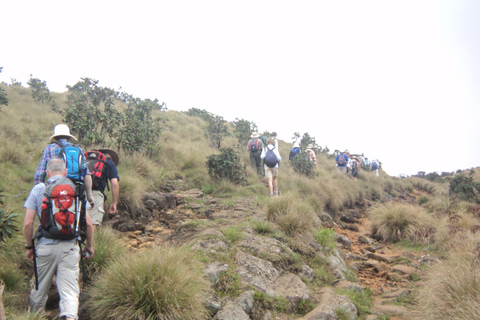 Trekking z Kandy do Ella