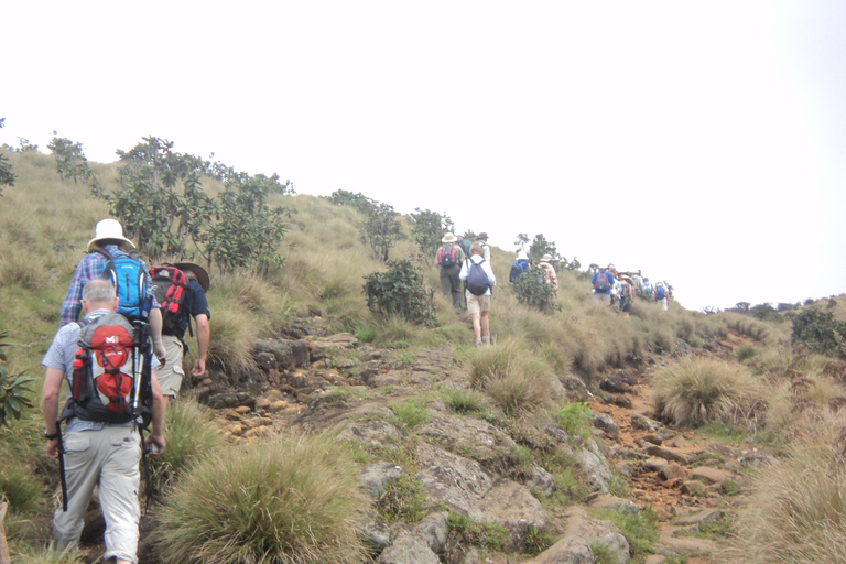 Trekking z Kandy do Ella