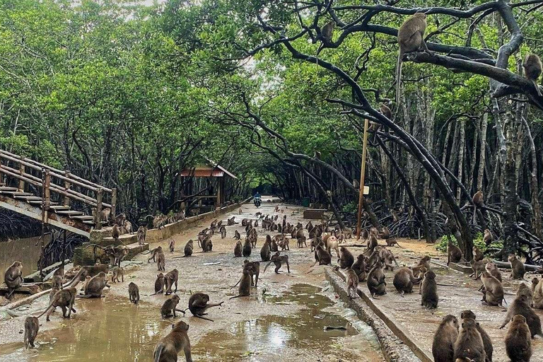 Tour di un giorno della Foresta delle Mangrovie e dell&#039;Isola delle Scimmie di Can Gio