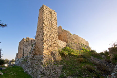 Jerash & Ajloun Sightseeing from Amman