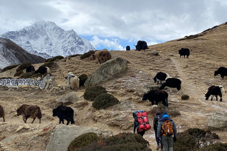 Trek rapide du camp de base de l'Everest - 9 jours