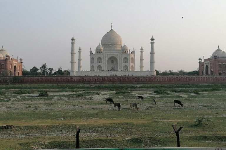 Wycieczka do Tadż Mahal tego samego dnia z biletami wstępu lub przewodnikiemTaj Mahal, przewodnik z transportem tylko samochodem z New Delhi