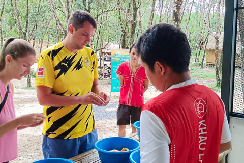 Programma di pernottamento nel santuario etico degli elefanti di Khao LakTour con servizio di prelievo