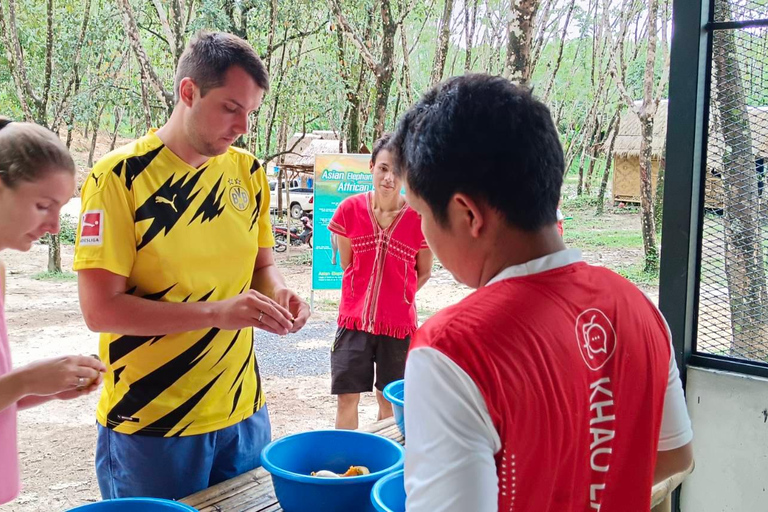 Programa de una noche en el Santuario Ético de Elefantes de Khao LakExcursión con punto de encuentro